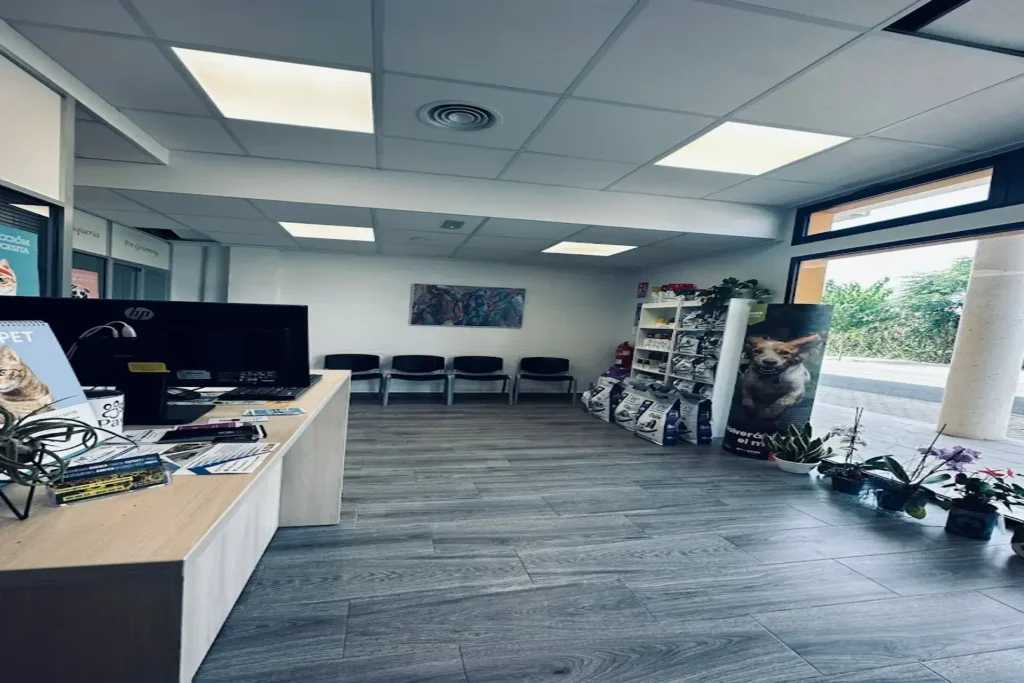 Recepción Clínica Veterinaria Animals en Xaló