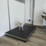 Pesado Veterinaria Animals en Xaló Alicante